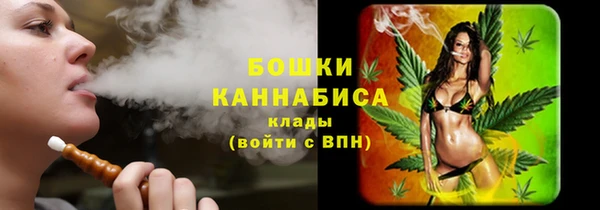 ешки Корсаков
