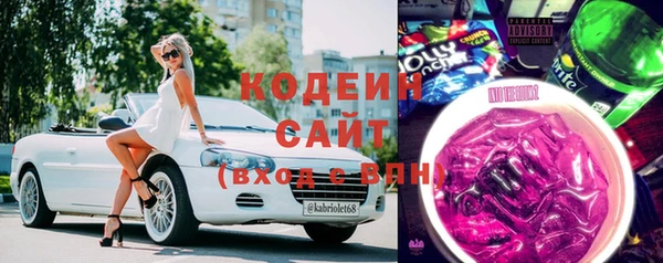 ешки Корсаков