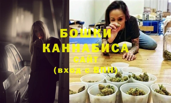 ешки Корсаков
