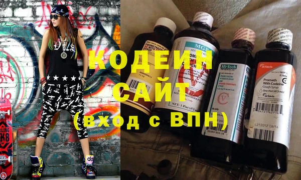ешки Корсаков