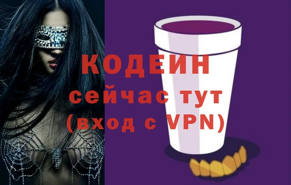 ешки Корсаков