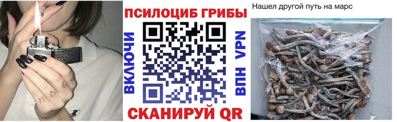 Купить где  Братск  Галлюциногенные грибы мицелий 